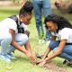Pageantry Meets Purpose in Tree Planting Initiative with National Carnival Queen Delegates